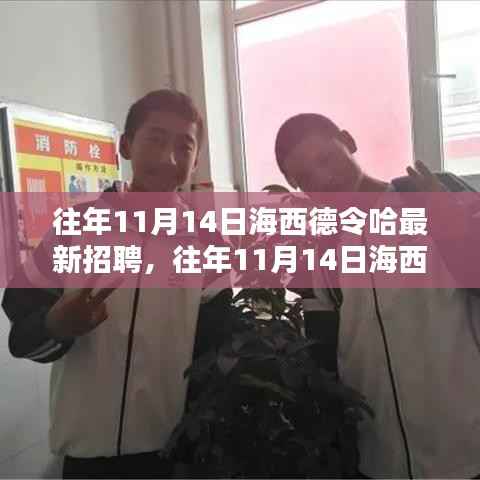 往年11月14日海西德令哈人才招聘盛况及最新招聘信息汇总回顾