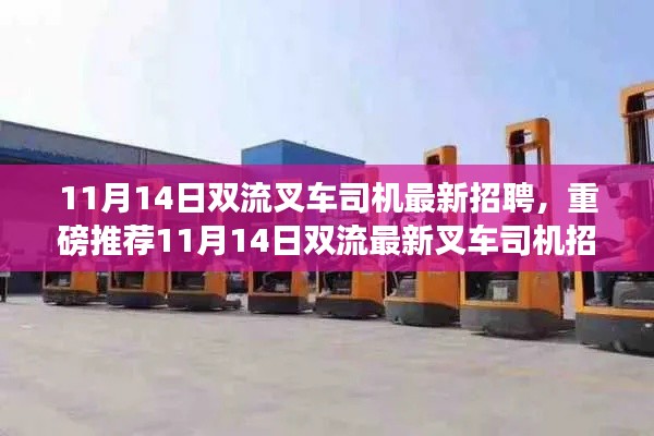 11月14日双流叉车司机招聘启事,优质职位等你来挑战!