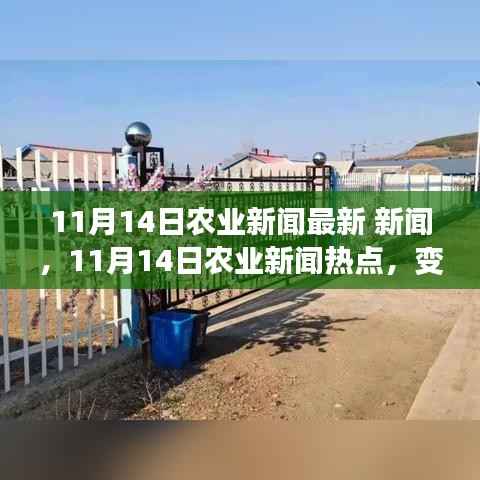 11月14日农业新闻热点,变革的田野上,学习带来的自信与成就感