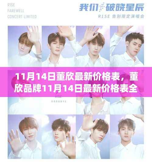 董欣品牌最新价格表全解析,购物清单预备,11月14日必备参考