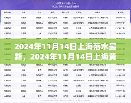 2024年11月14日上海黄浦江落水事件最新进展