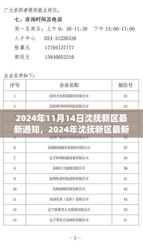 沈抚新区发展动态与政策解读，最新通知揭示未来规划（2024年11月）