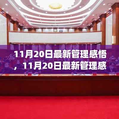 变革时代的管理感悟,领导策略与个人立场的重塑与启示