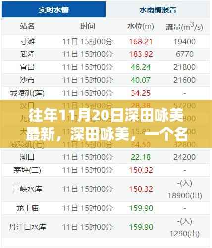 深田咏美,11月20日的闪耀之星