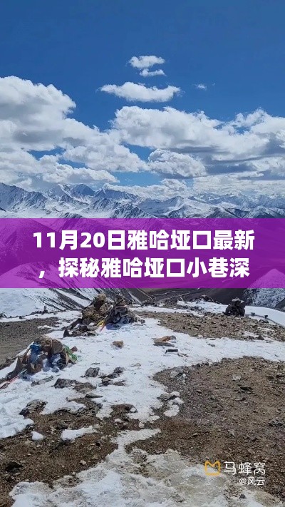 探秘雅哈垭口小巷深处的独特风味,美食宝藏揭秘(最新11月20日雅哈垭口更新)
