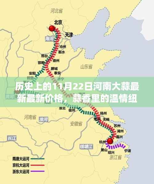 河南大蒜价格揭秘,历史11月22日的温情纽带与秘密之旅