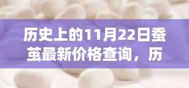 历史上的11月22日蚕茧价格解析，最新价格查询与波动展望
