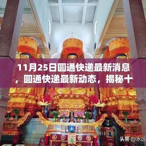 揭秘圆通快递最新动态,三大看点悉数呈现(11月25日更新)