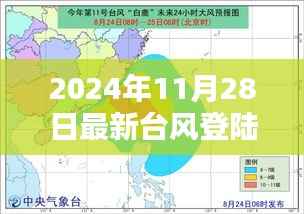 台风来袭！阳江最新台风应对指南——初学者安全指南