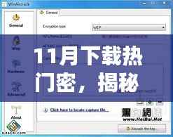 热门软件下载指南,安全合规方法与步骤,适合初学者与进阶用户揭秘11月热门密软件下载秘籍