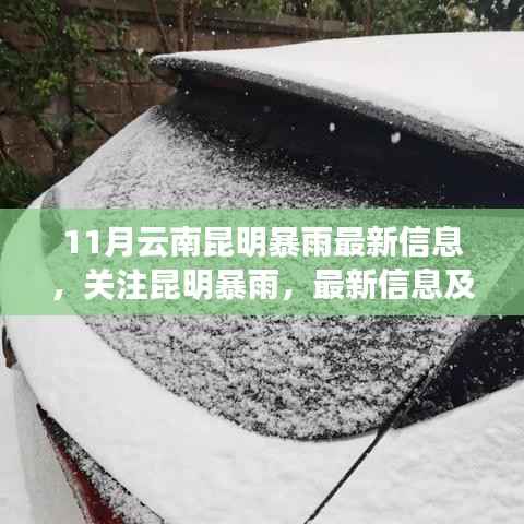 昆明暴雨最新动态,暴雨影响分析与关注