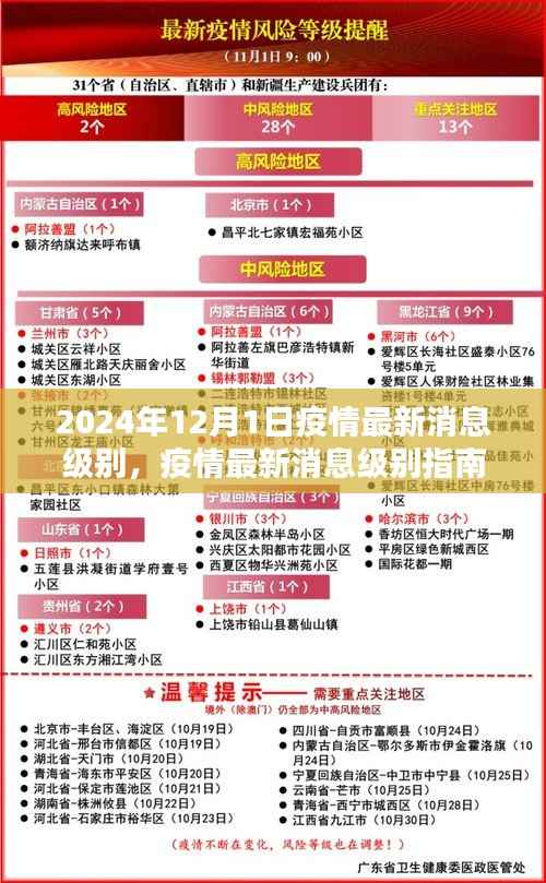 2024年疫情最新消息指南，如何获取并分析12月1日疫情信息，适用于初学者与进阶用户