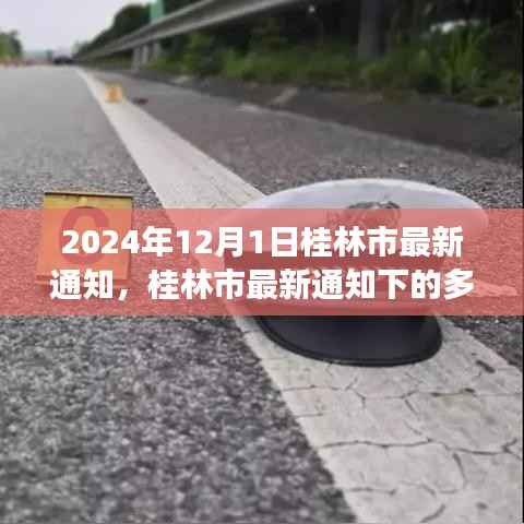 桂林市最新通知下的多元观点深度探析，多元视角看桂林发展动态