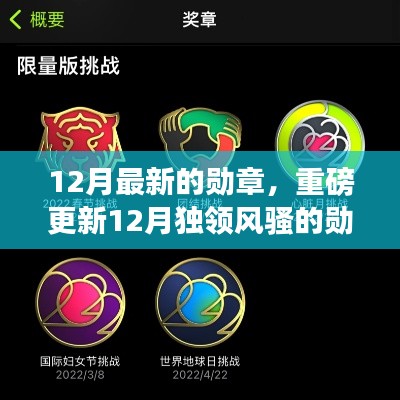 探秘最新勋章魅力，12月独领风骚的勋章，你Get了吗？小红书带你一探究竟！
