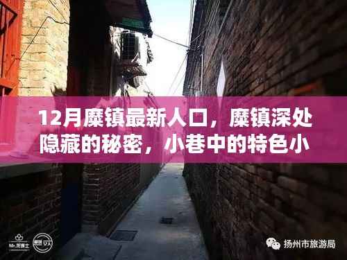 糜镇深处,人口风情与小巷特色小店探秘