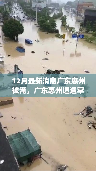 广东惠州罕见洪涝灾害，最新淹没情况及应对措施