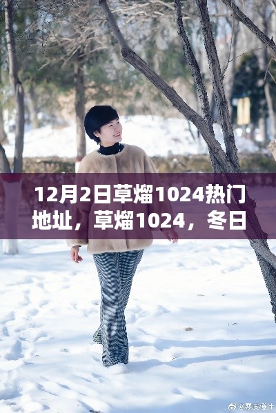 冬日暖阳下的草熘1024奇遇，热门地址揭秘与温情分享