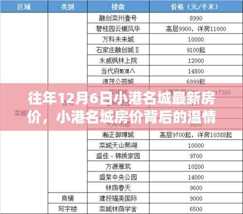 小港名城房价背后的温情故事，友情与家的奇妙旅程揭秘最新房价动态