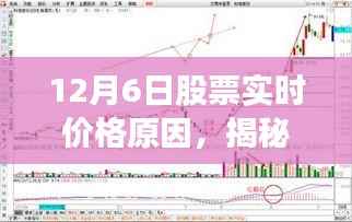 揭秘12月6日股票实时价格波动背后的原因，洞悉股市风云变幻的攻略