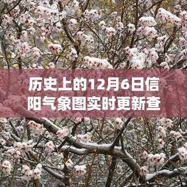 📈历史上的12月6日信阳气象图实时更新查询，初学者与进阶用户操作指南🌦️