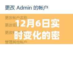 12月6日密码之谜，友情与陪伴的温暖故事