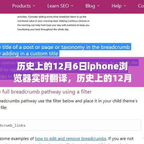 历史上的12月6日，iPhone浏览器实时翻译功能详解及使用指南