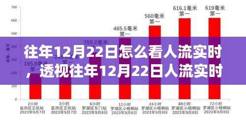 多维度视角分析，透视往年12月22日人流实时数据与流动趋势观察报告