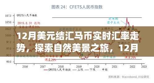 探索自然美景之旅与揭秘美元结汇马币实时汇率走势背后的冒险与宁静