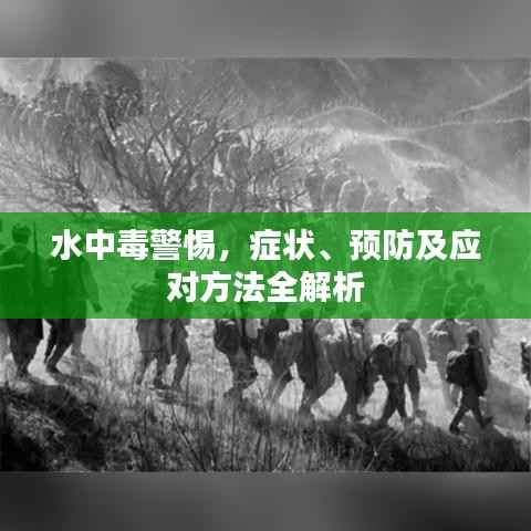 水中毒警惕,症状、预防及应对方法全解析