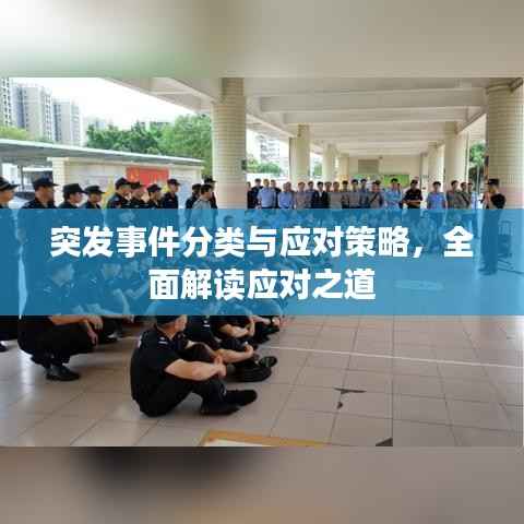 突发事件分类与应对策略，全面解读应对之道