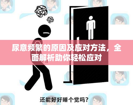 尿意频繁的原因及应对方法，全面解析助你轻松应对