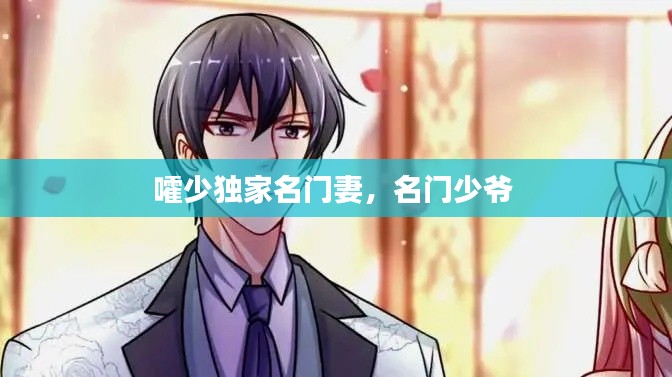 嚯少独家名门妻，名门少爷 