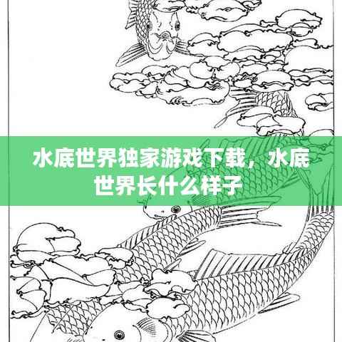 水底世界独家游戏下载,水底世界长什么样子