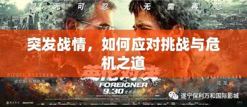 突发战情,如何应对挑战与危机之道