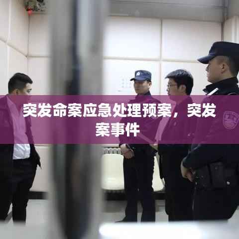 突发命案应急处理预案，突发案事件 