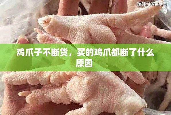 鸡爪子不断货，买的鸡爪都断了什么原因 
