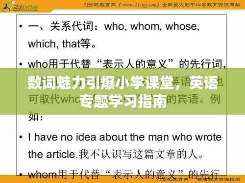 数词魅力引爆小学课堂,英语专题学习指南