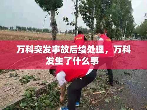 万科突发事故后续处理，万科发生了什么事 