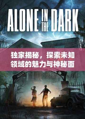 独家揭秘，探索未知领域的魅力与神秘面纱