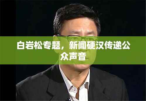 白岩松专题,新闻硬汉传递公众声音