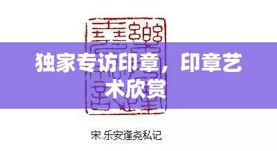 独家专访印章,印章艺术欣赏