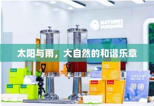 太阳与雨,大自然的和谐乐章