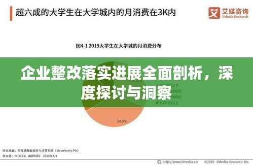 企业整改落实进展全面剖析，深度探讨与洞察