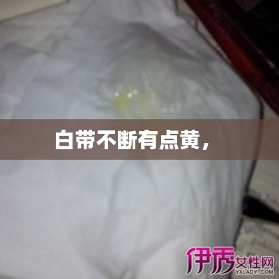 白带不断有点黄， 