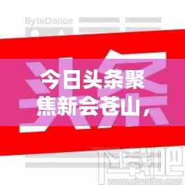 今日头条聚焦新会苍山,最新新闻报道汇总