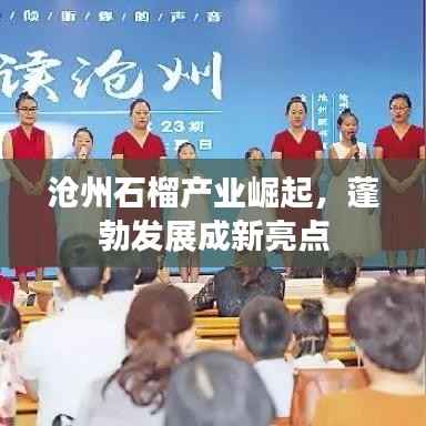 沧州石榴产业崛起，蓬勃发展成新亮点