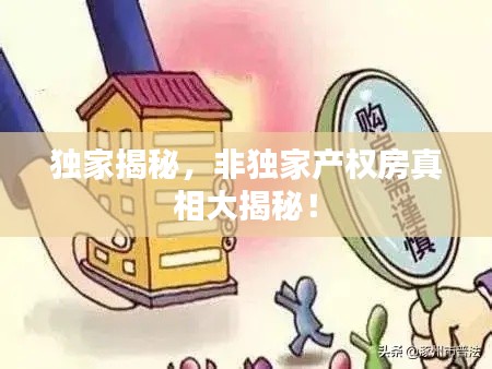 独家揭秘,非独家产权房真相大揭秘!