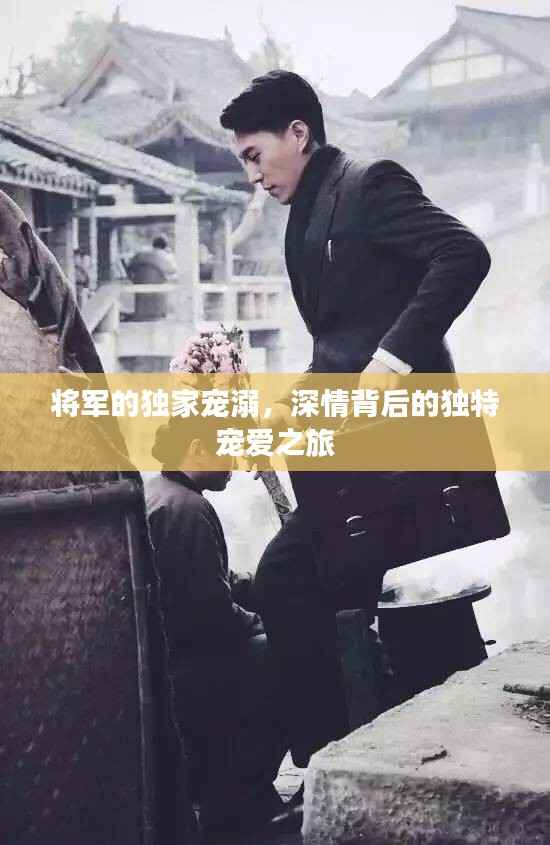 将军的独家宠溺,深情背后的独特宠爱之旅