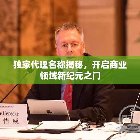 独家代理名称揭秘，开启商业领域新纪元之门