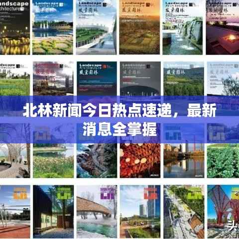 北林新闻今日热点速递，最新消息全掌握